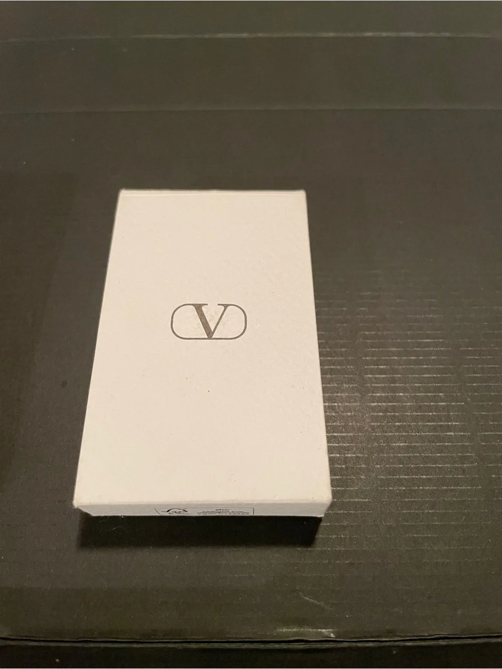 Valentino Black Logo Hair Clips (Set of 2)